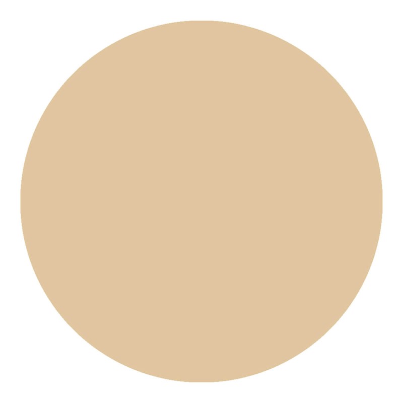Kylie's Professional Mineral Goddess Concealer, Natural 5g
