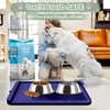 Silicone Pet Feeding Mats for Food & Water - Waterproof
