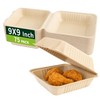 Lxins ECO 9x9 Inch To Go Boxes 75 Pack, Compostable