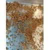 Unbraded 300 Semillas De Higo Orgánicas-300 Organic Fig Seeds