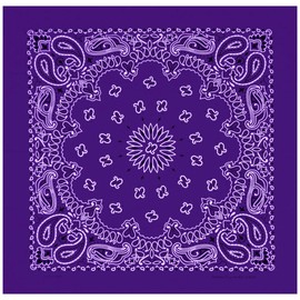Mato & Hash Large Bandanas 27 x 27 | Versatile Biker Rags | Classic Paisley Bandana Pattern - 15PK Purple CA4200