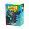 Dragon Shield AT-15048 Matte Dual Sleeve Standard Size Lagoon, 100