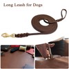 Guiding Star Extra Long Leather Leash for Dogs (10ft*3/8")