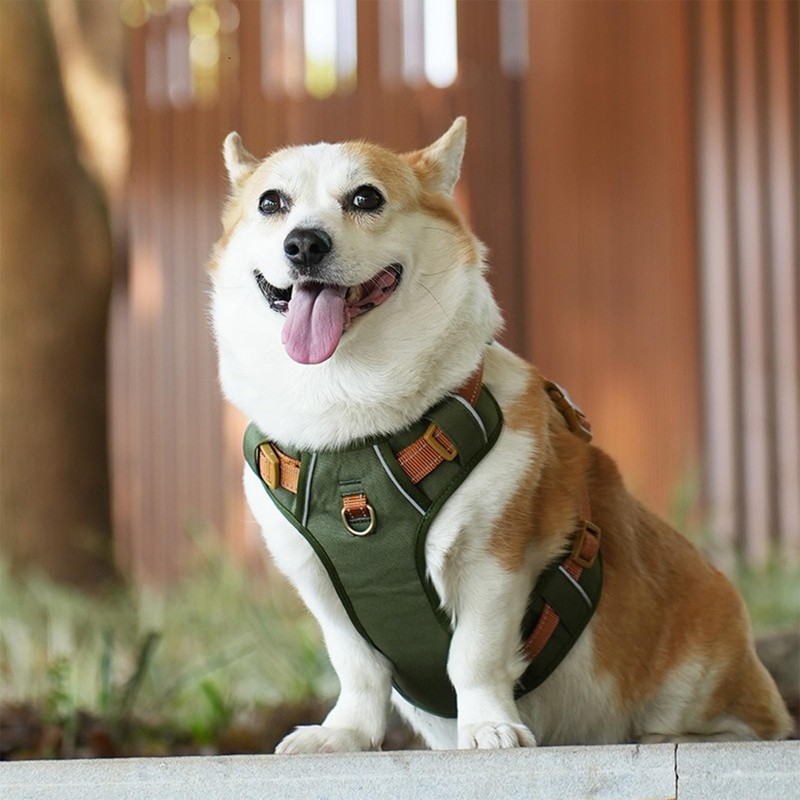 Paipeper Dog Harness, Small Dog Harness, Medium Size Dog Harness,