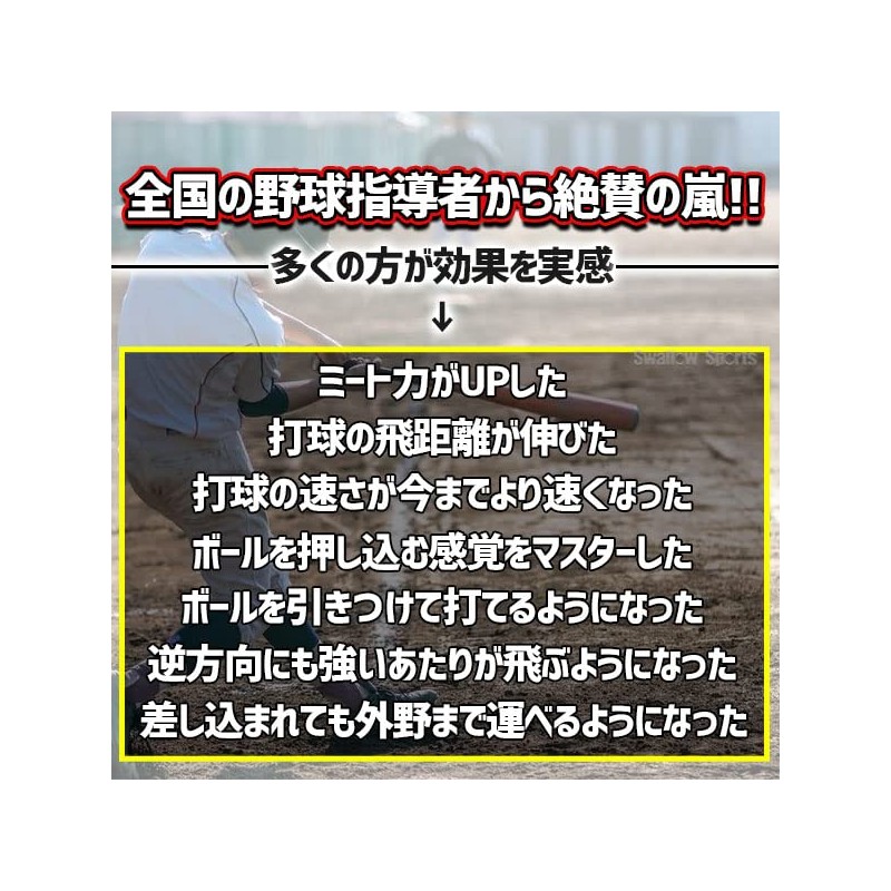 ZETT(ゼット) アイアンサンド(砂鉄)入トレーニングボール 1個 BB450S 450g