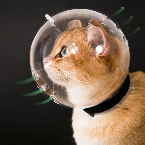 Cat Transparent Muzzle with Breathable Hood, Adjustable Kitten Astronaut Helmet