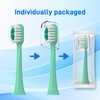 Replacement Brush Heads Compatible with AquaSonic icon Electric Toothbrush, 10