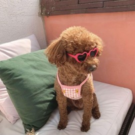 Pink Pet Heart Sunglasses Photos Props Cute Pet Dog Sunglasses Cat Glasses Sun Flower Glasses Pets Party Decor for Small Dogs Cat Accessories Cute Pet Dog Sunglasses