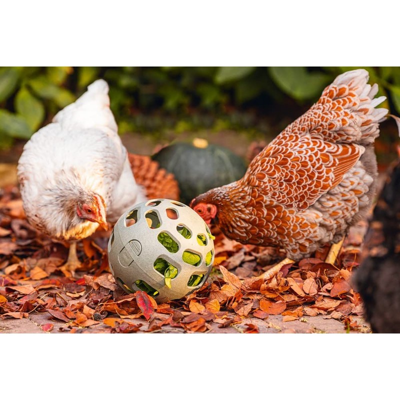 Beeztees Snack Ball, Chicken Accessories, Feeder for Chickens, Snack Ball,