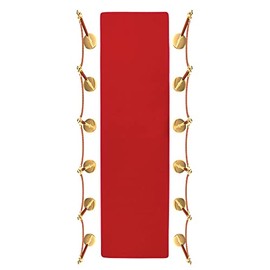 Trademark Innovations Red Carpet Aisle Runner (2' x 10')