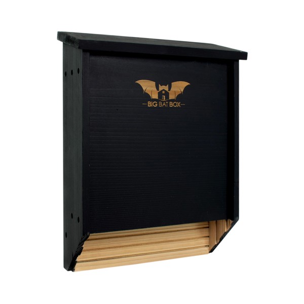BIGBATBOX - Bat House for Outdoors - Clean Your Backyard
