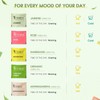 Teabox Premium Darjeeling Green Tea Sampler Bags 100pcs (10pcs X