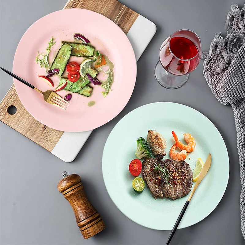 10inch 11inch Dinner Plates Set of 10, Reusable Wheat Straw