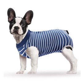 HCHYEY Dog Recovery Suit, Humanized Dog Surgery Recovery Suit for Female Male Dogs, Dog Onesie for Post Surgery - Anti Licking E-Collar Cone Alternative Bodysuit for Surgical Wound (Blue Stripe, XL)