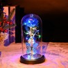 Valentines Day Romantic Gift Galaxy Rose LED Glass Dome Butterfly