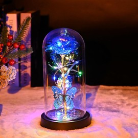 Valentines Day Romantic Gift Galaxy Rose LED Glass Dome Butterfly for Women