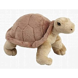 Ravensden Soft Toy Tortoise