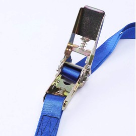 Tophomer 1-10 m Tie Down Straps with Ratchet 25 mm Lashing Strap Ratchet Strap 800 kg 26 Colours for Professionals and Private Transport Tensile Force Red/Yellow/Blue/Army Green/Black/Grey