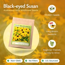 Created By Nature Black-Eyed Susan Wildflower Seeds, 55,000 Non-GMO Yellow Daisy Seeds