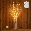 Hairui Lighted Willow Branches Battery Operated Home Mantle Christmas Decor