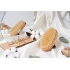 Oval Body Brush without Plastic, Dry Brush, Exfoliating Brush, Massage