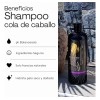 Shampoo Cola De Caballo Crecimiento Natural 500ml