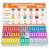 JOREST 120 PCS Car Fuses, For Car/Truck/Motorcycle (2A 3A 5A