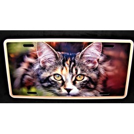 DIGIART INTERNATIONAL CAT EYES PAWS CAT ANIMAL LOVE FRIEND METAL NOVELTY CAR LICENSE PLATE AUTO TAG