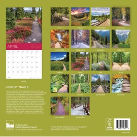 Forest Trails Wall Calendar | 18 Month Calendar | 12" x 24" Open | Giftable Nature Calendar 2026 | Thick & Sturdy Paper for Organizing & Planning | Pacific Waters Press (Forest Trails)