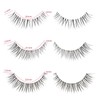 Hybrid Strip Lashes 10 Pairs 5 Style Mixed Natural False