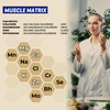 Imix Nutrition QuikPlus Muscle Matrix - Ionic Liquid Mineral Supplement,
