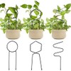 3 Pcs Metal Garden Trellis Climbing Plants Support Indoor Iron