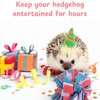 Toys for Hedgehogs Small Animal Accessories, Cute Hedgehog Toys, Ball
