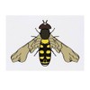 'Bold Hover Fly' Temporary Tattoo - Water Resistant, Skin-Safe, Non-Toxic