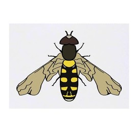 'Bold Hover Fly' Temporary Tattoo - Water Resistant, Skin-Safe, Non-Toxic Transfer (TO00072939)