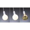 Paulmann 71135 luminaire Ravi IP44 E27 max. 60W Pendant lamp