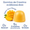 Fitgoom Gomitas Creatina Monohidratada Porciones Azúcar Gluten Soporte Cognitivo Físico