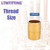 LTWFITTING Assortment Kit 1/8-Inch 1/4-Inch 3/8-Inch 1/2-Inch 3/4-Inch NPT Male