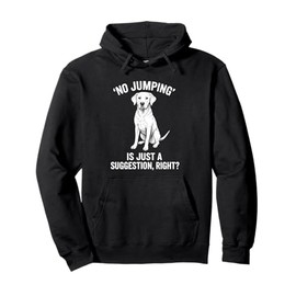 Funny Labrador Top Humorous Dog Owner, Dog Mom, Dad Pullover Hoodie