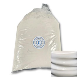 Penguin Pottery - Glossy Opaque White Glaze (5 Lbs Dry) - Opaque Series - Mid Fire Glaze Cone 5-6 - Ceramic Glaze Pottery (5 lbs | 2.3 kg)