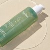 Preju 프레쥬 자연약쑥 파하 필링에센스 120ml(각질/모공관리) Preju Natural Mugwort PHA