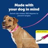 PetSafe Nylon Leash - Strong Nylon for Everyday Walks -