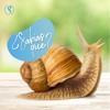 Crema Baba Caracol Facial Regeneradora Piel Desvanece Cicatrices Líneas Expresión