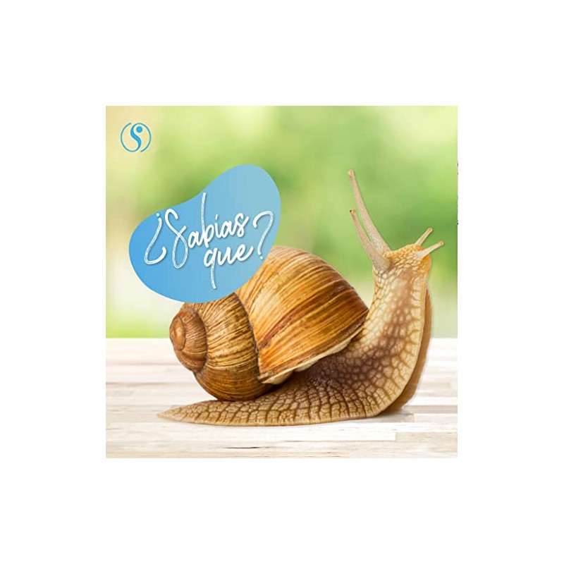 Crema Baba Caracol Facial Regeneradora Piel Desvanece Cicatrices Líneas Expresión