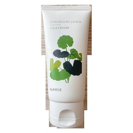 1 Cheongmijeong Organic Cica Cream 100g / 1개 청미정 유기농 시카크림 100g
