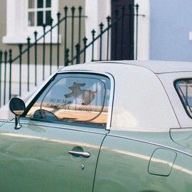 Mr. & Mrs. Panda Car Sun Protection Dog Dachshund Gift Sun Protection Children Dog Motif Sayings Sun Protection Baby Sun Protection Film Sun Protection