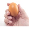 Pack of 5 Easter Eggs, Wooden Brown Fake Emergency Eggs
