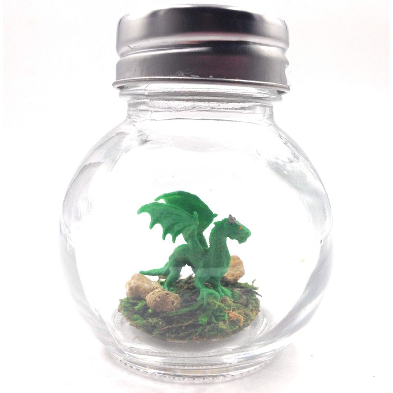 Fish Belli Mini Pet Forest Dragon with Adoption Certifcate Green