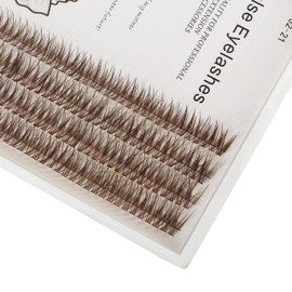 Bodermincer 231 Clusters D Curl Dark Brown Individual Eyelash Extension Fish Tail Cluster Eyelashes Premium Eyelashes Mink Lashes Professional Lash Extension (10mm, Dark Brown)