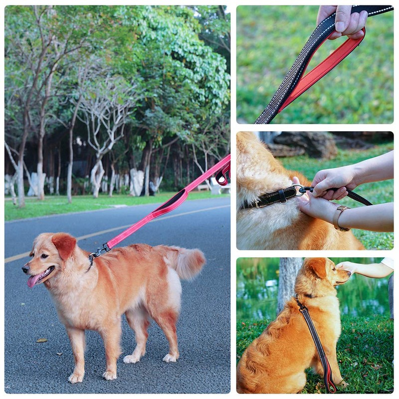 MOE Dog Leash Large Dog Medium Dog Leash 2 Handles
